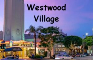 Movers Westwood - ABC Moving Systems